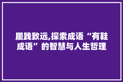 履践致远,探索成语“有鞋成语”的智慧与人生哲理