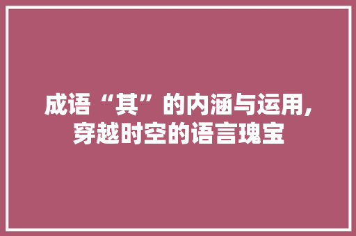 成语“其”的内涵与运用,穿越时空的语言瑰宝