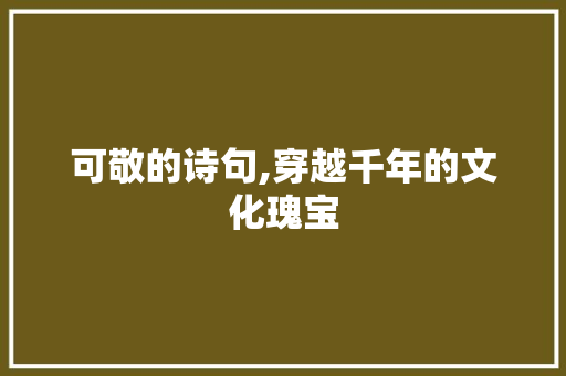 可敬的诗句,穿越千年的文化瑰宝