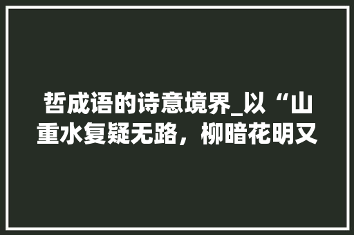 哲成语的诗意境界_以“山重水复疑无路，柳暗花明又一村”为例
