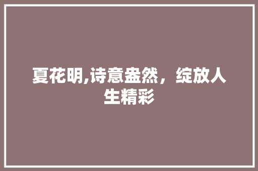 夏花明,诗意盎然，绽放人生精彩 诗词佳句