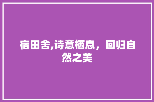 宿田舍,诗意栖息，回归自然之美