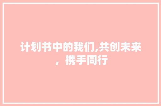 计划书中的我们,共创未来，携手同行