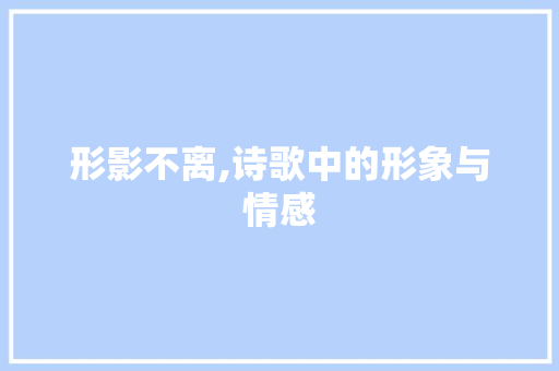 形影不离,诗歌中的形象与情感