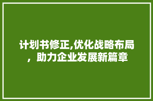 计划书修正,优化战略布局，助力企业发展新篇章