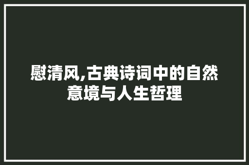 慰清风,古典诗词中的自然意境与人生哲理 问答