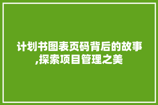 计划书图表页码背后的故事,探索项目管理之美