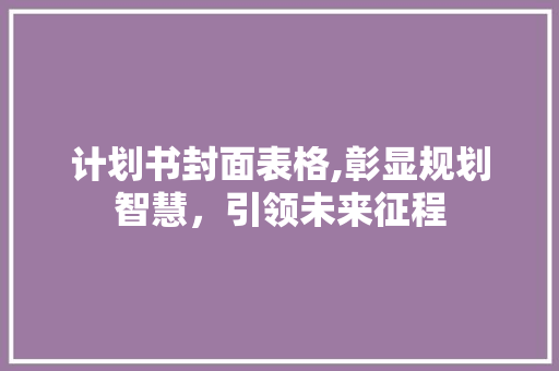 计划书封面表格,彰显规划智慧，引领未来征程