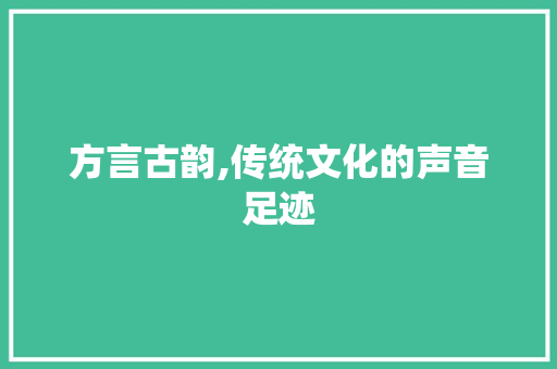 方言古韵,传统文化的声音足迹
