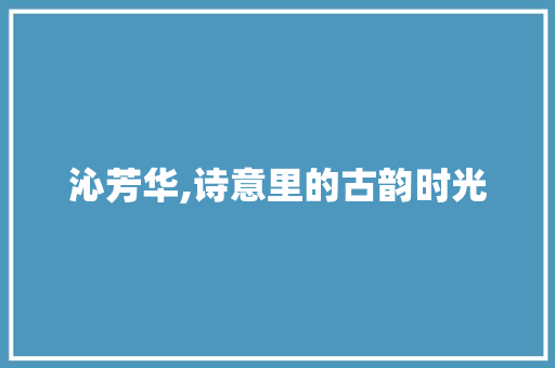 沁芳华,诗意里的古韵时光