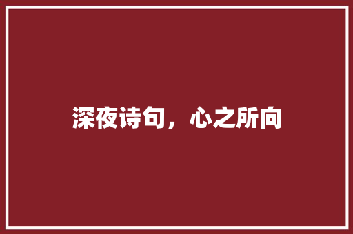 深夜诗句，心之所向