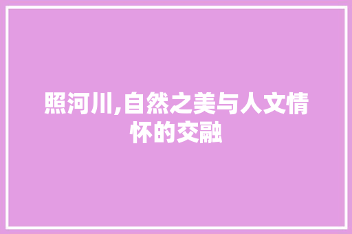 照河川,自然之美与人文情怀的交融