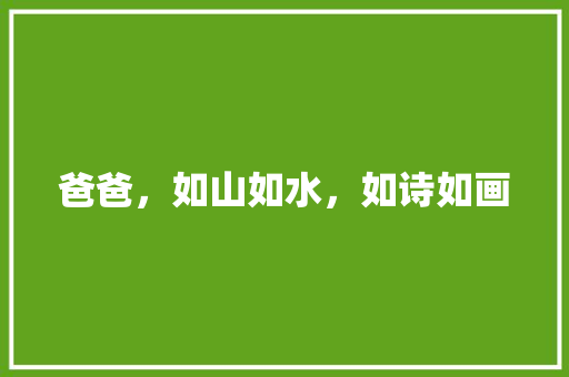 爸爸，如山如水，如诗如画