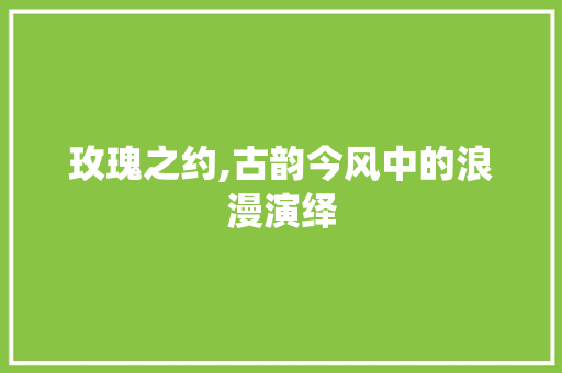 玫瑰之约,古韵今风中的浪漫演绎