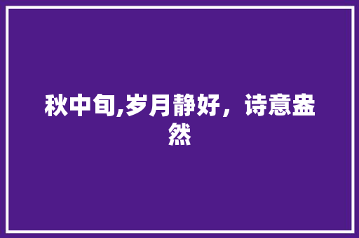 秋中旬,岁月静好，诗意盎然