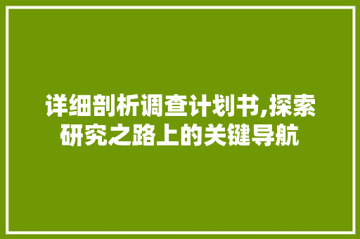 详细剖析调查计划书,探索研究之路上的关键导航