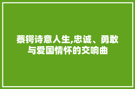 蔡锷诗意人生,忠诚、勇敢与爱国情怀的交响曲