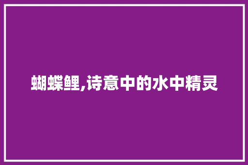 蝴蝶鲤,诗意中的水中精灵