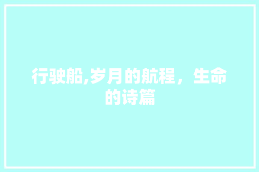 行驶船,岁月的航程，生命的诗篇