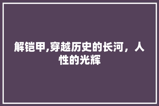 解铠甲,穿越历史的长河，人性的光辉