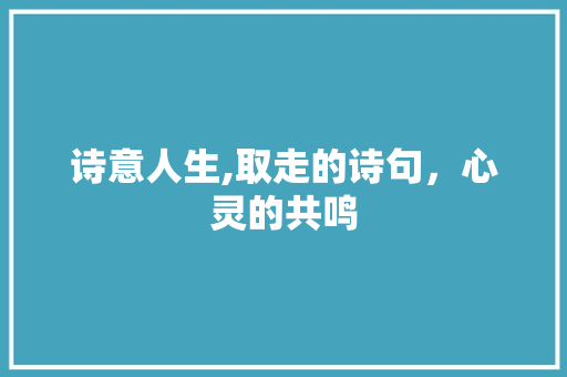 诗意人生,取走的诗句，心灵的共鸣