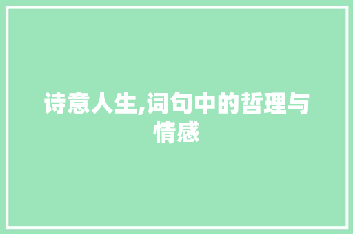 诗意人生,词句中的哲理与情感