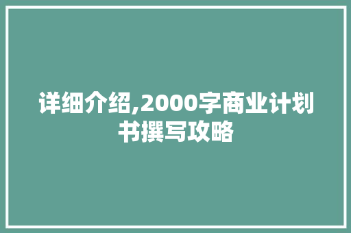 详细介绍,2000字商业计划书撰写攻略