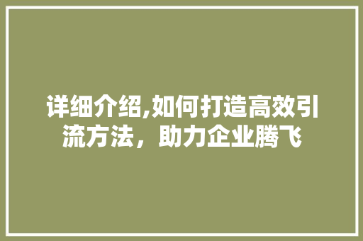 详细介绍,如何打造高效引流方法，助力企业腾飞
