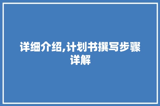 详细介绍,计划书撰写步骤详解