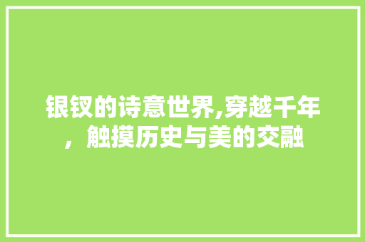 银钗的诗意世界,穿越千年，触摸历史与美的交融