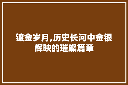 镀金岁月,历史长河中金银辉映的璀璨篇章