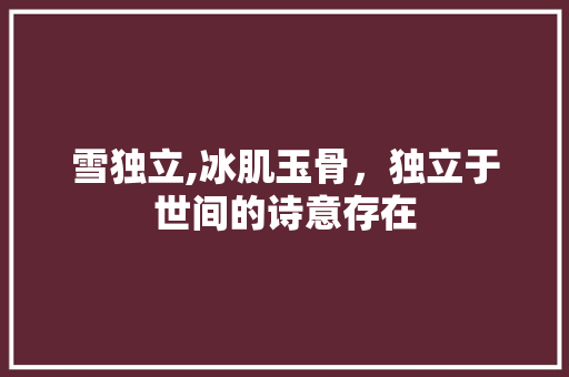 雪独立,冰肌玉骨，独立于世间的诗意存在