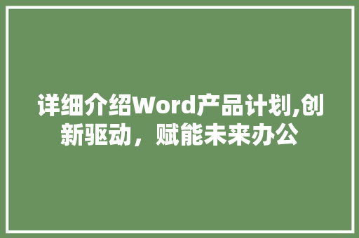 详细介绍Word产品计划,创新驱动，赋能未来办公