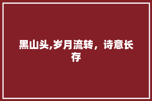 黑山头,岁月流转，诗意长存