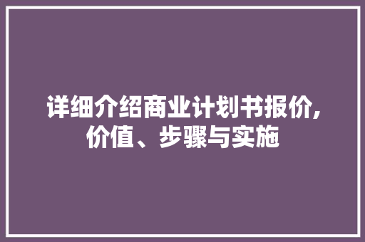 详细介绍商业计划书报价,价值、步骤与实施