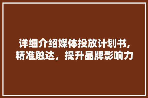 详细介绍媒体投放计划书,精准触达，提升品牌影响力