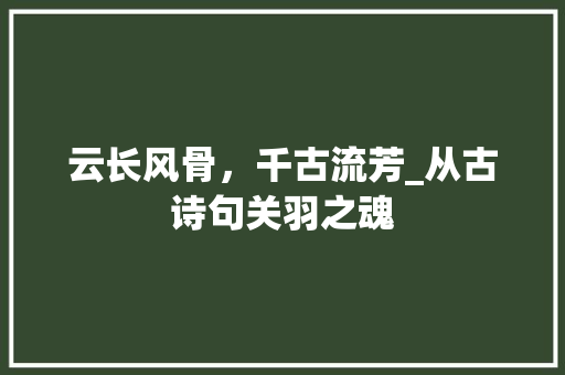 云长风骨，千古流芳_从古诗句关羽之魂