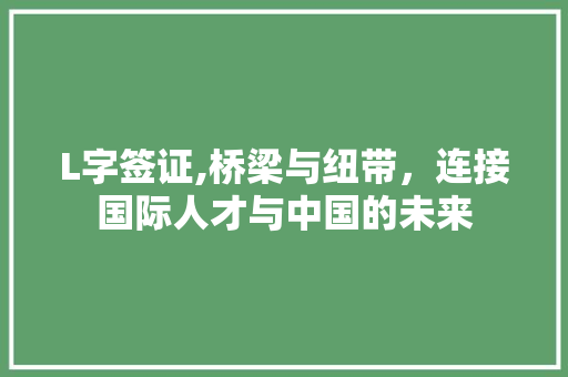L字签证,桥梁与纽带，连接国际人才与中国的未来