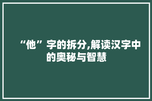 “他”字的拆分,解读汉字中的奥秘与智慧