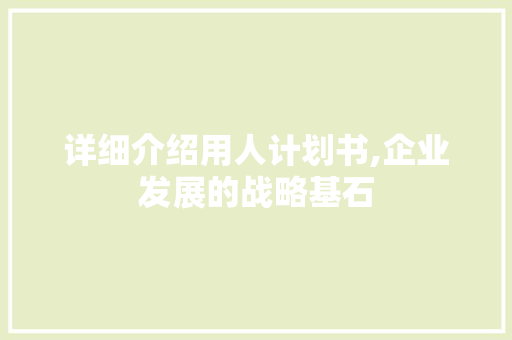 详细介绍用人计划书,企业发展的战略基石