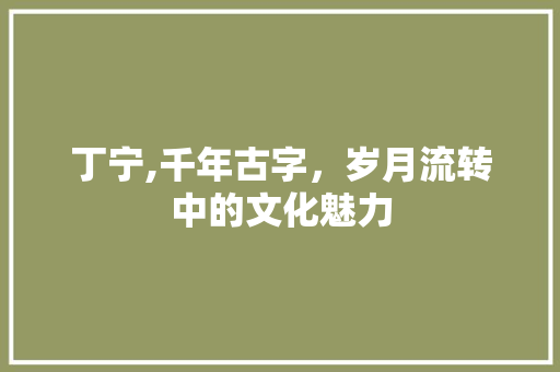 丁宁,千年古字，岁月流转中的文化魅力 问答
