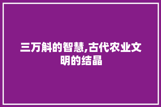 三万斛的智慧,古代农业文明的结晶