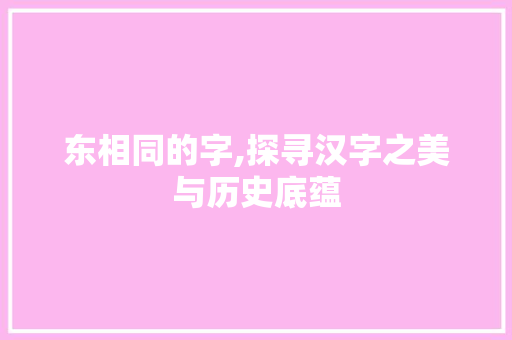 东相同的字,探寻汉字之美与历史底蕴
