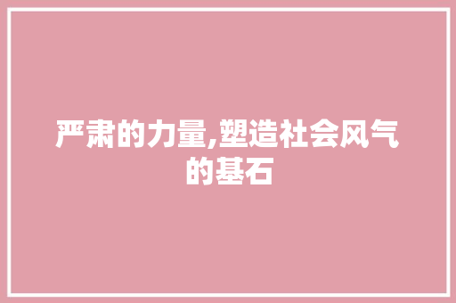 严肃的力量,塑造社会风气的基石