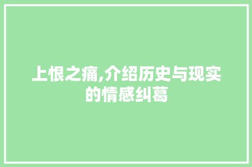 上恨之痛,介绍历史与现实的情感纠葛