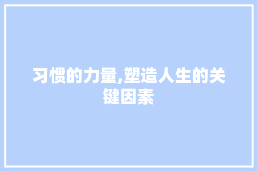 习惯的力量,塑造人生的关键因素