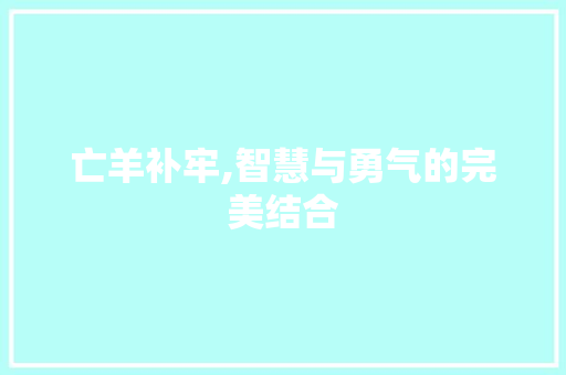 亡羊补牢,智慧与勇气的完美结合