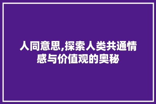 人同意思,探索人类共通情感与价值观的奥秘