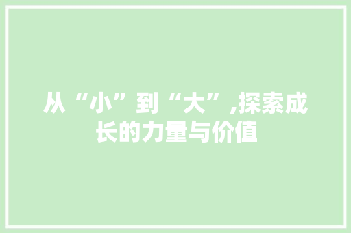 从“小”到“大”,探索成长的力量与价值