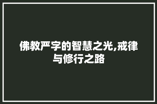 佛教严字的智慧之光,戒律与修行之路 汉字拼音